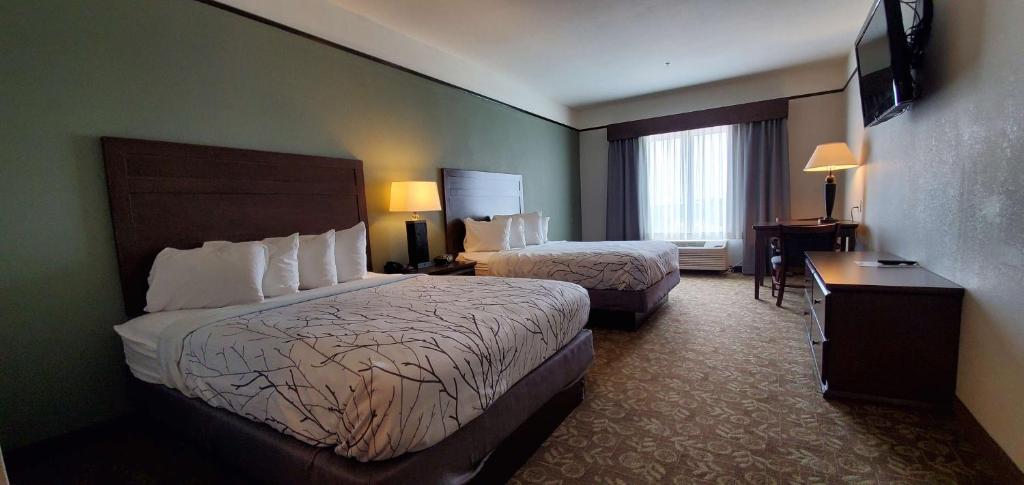 Postel nebo postele na pokoji v ubytování Best Western Plus Emory at Lake Fork Inn & Suites