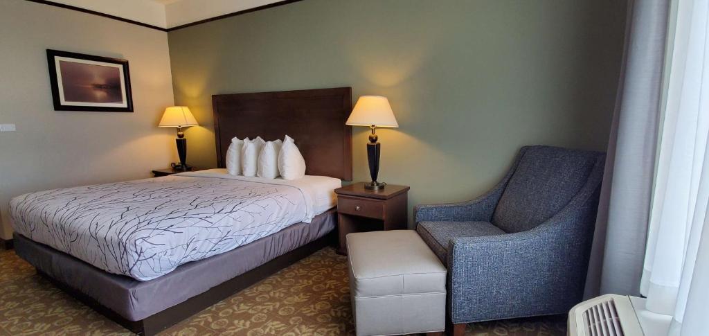 Postel nebo postele na pokoji v ubytování Best Western Plus Emory at Lake Fork Inn & Suites