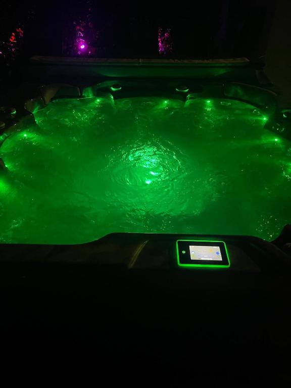 ein grüner Wasserpool mit einer Waage darin in der Unterkunft LuxArt City Spa Gallery Residence Krk in Krk