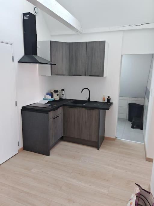 - une cuisine avec évier et comptoir dans la chambre dans l'établissement Appartement Sierentz, à Sierentz