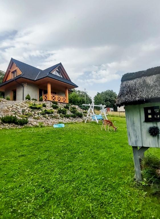 a house with a yard with a dog and a swing at Beskidzka Kępa Szczyrk - domek z balią i pięknym widokiem na góry in Szczyrk