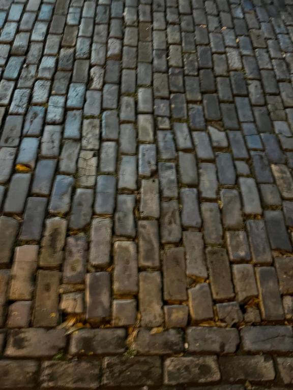 Fotografie z fotogalerie ubytování Trotamundos v destinaci San Juan
