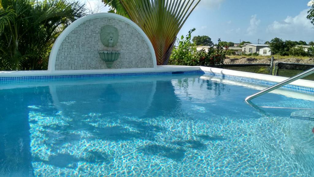 a large swimming pool with a large blue pool at Annwin Apartment in Saint James