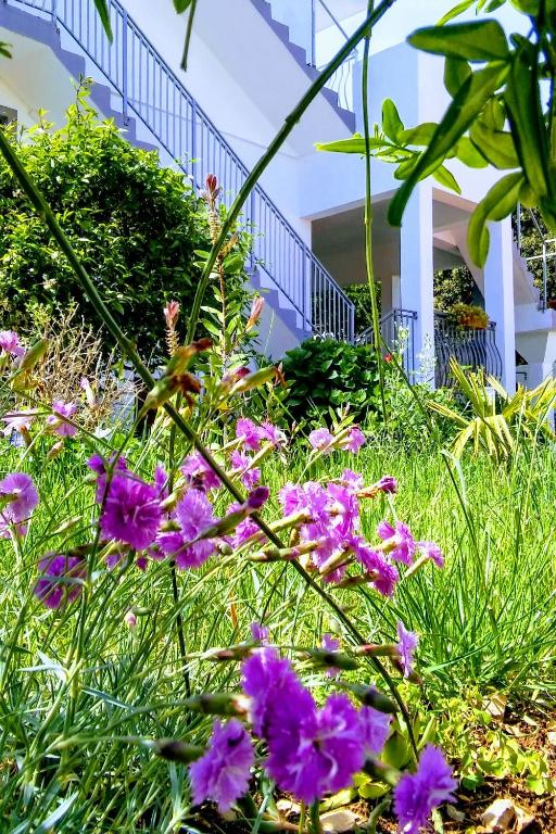 Vonkajšia záhrada v ubytovaní Apartments with parking spaces Razanj, Rogoznica - 17328
