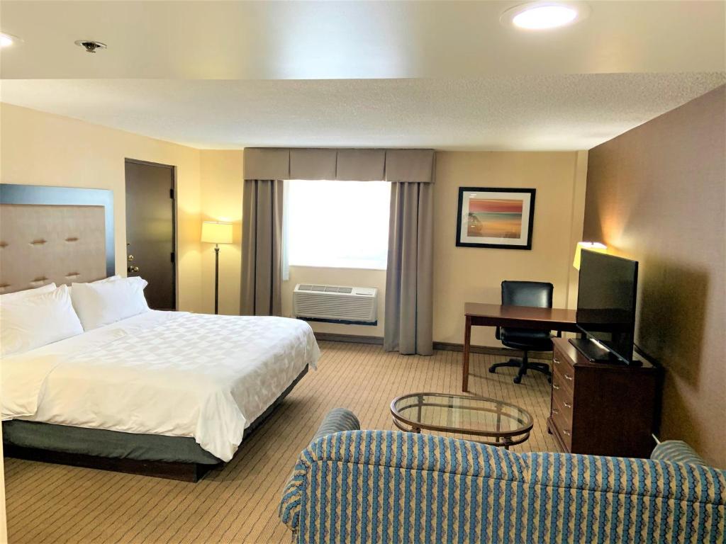 Holiday Inn & Suites Chicago-Carol Stream Wheaton by IHG - Standard King Room With Sofa Bed