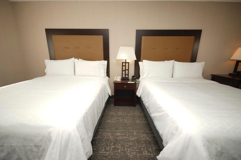 Holiday Inn & Suites Chicago-Carol Stream Wheaton by IHG - Standard Room With Two Queen Beds