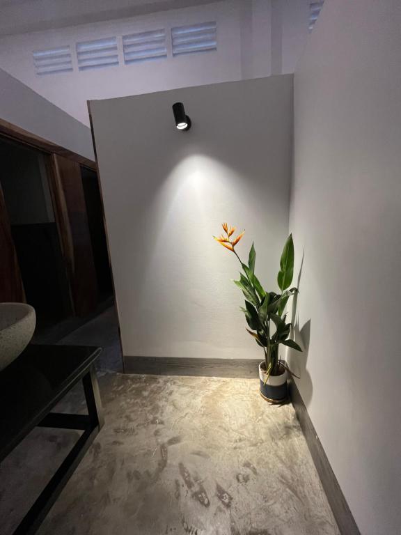 Fotografie z fotogalerie ubytování Por Chey Guesthouse v destinaci Battambang