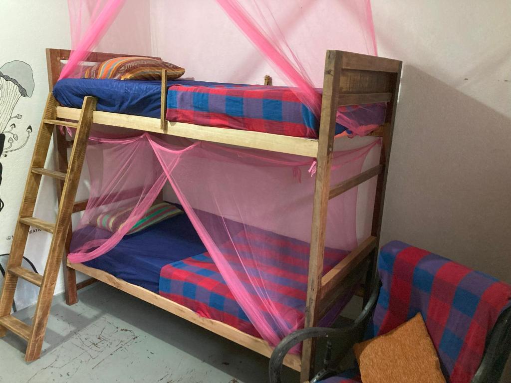 Palanda nebo palandy na pokoji v ubytování Hostel Singha Lounge