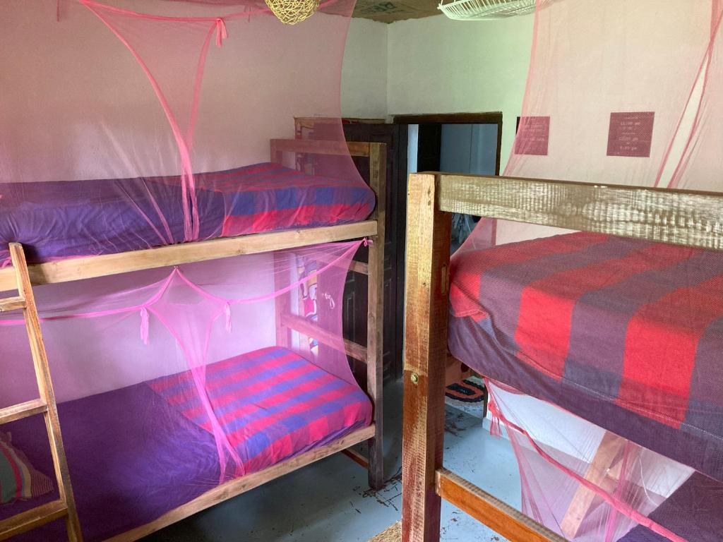 Palanda nebo palandy na pokoji v ubytování Hostel Singha Lounge