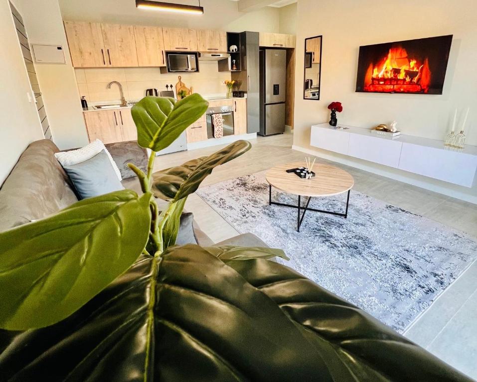 Χώρος καθιστικού στο Selemo Luxury Apartments
