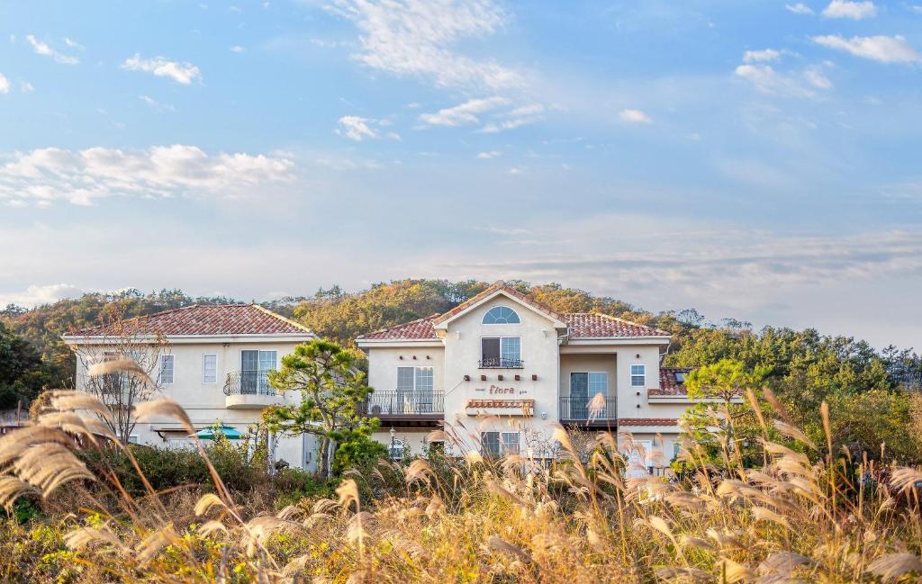 Landskap semula jadi dekat dengan rumah tamu ini