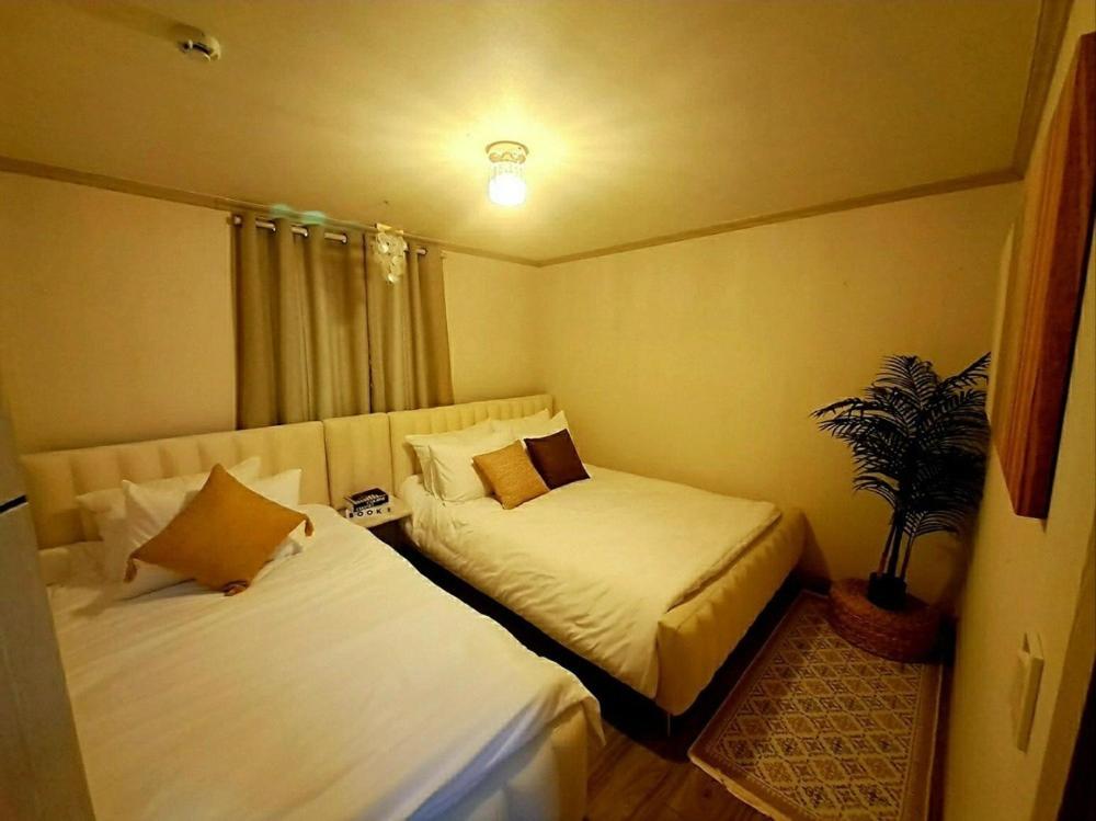 a bedroom with two beds and a potted plant at Dream Pension in Yeongdeok