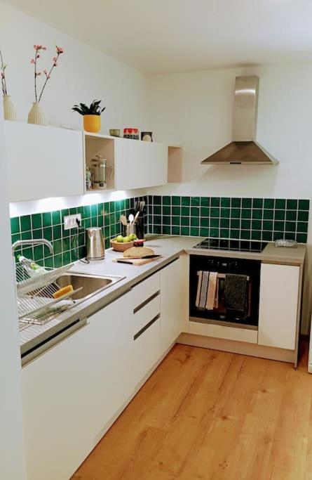 Kuchyň nebo kuchyňský kout v ubytování Apartma Discovering Slovenia