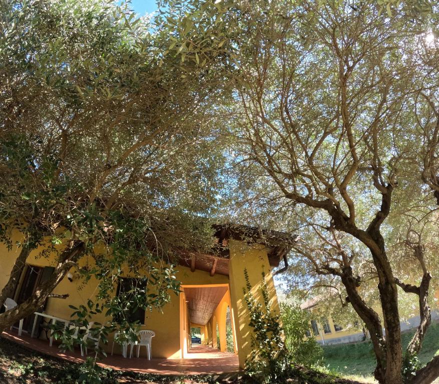 Zahrada ubytování Agriturismo Gardenali