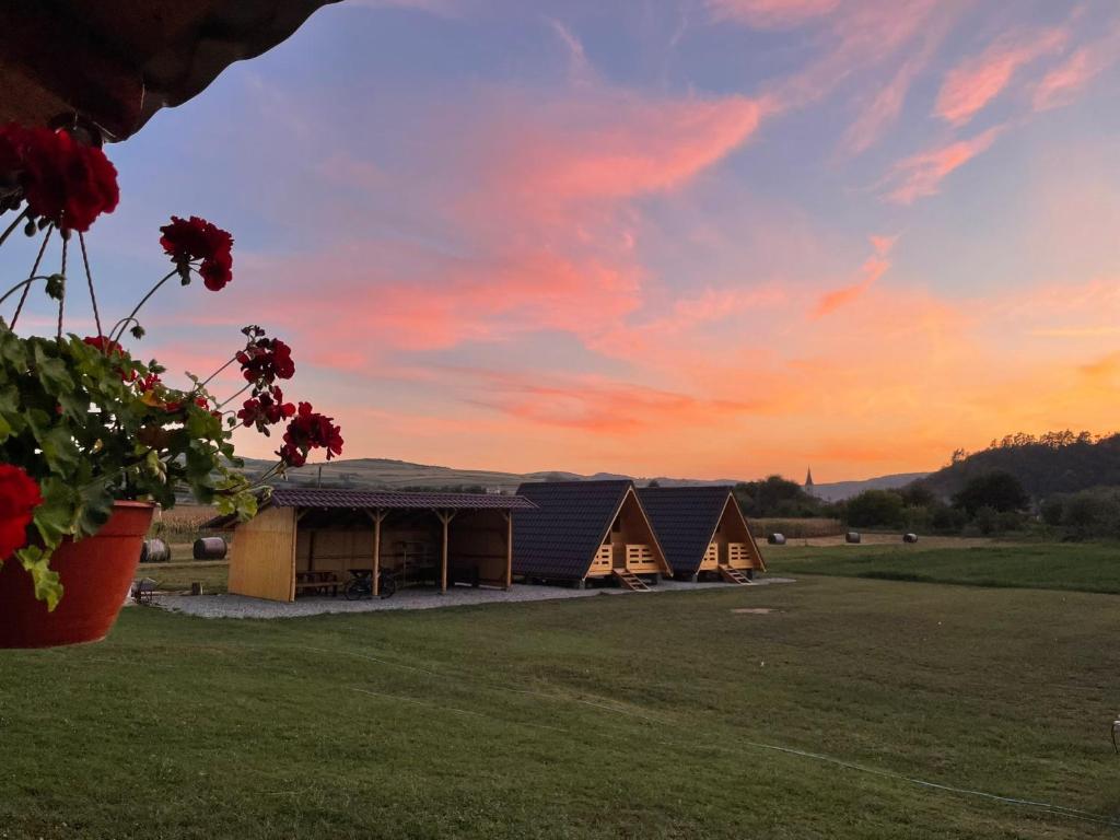 a group of tents in a field at sunset at La Fermă in Şeíca Mare