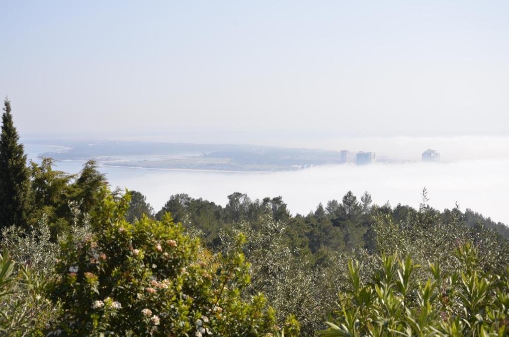a view of the ocean from a hill with trees at Ha Mar ao Luar in Setúbal