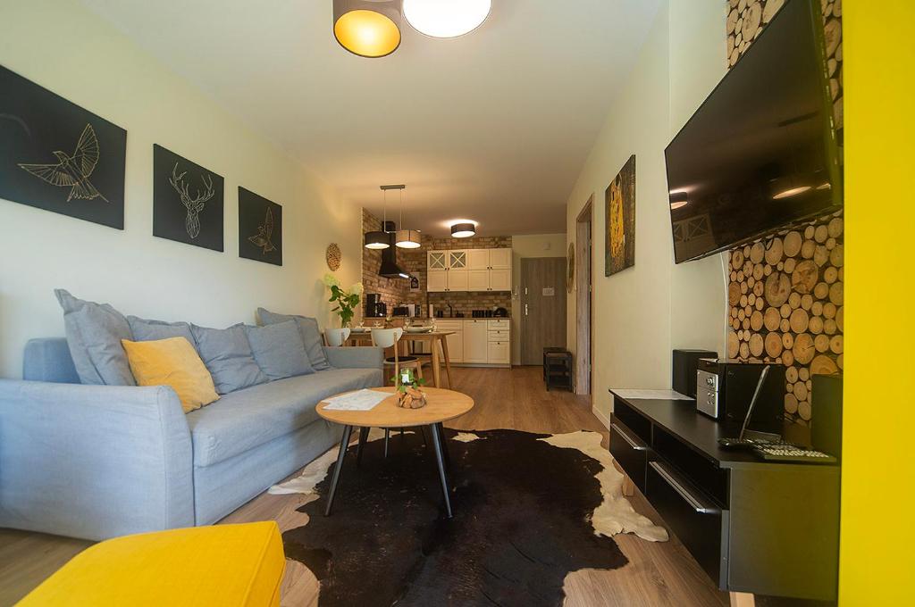 Televízia a/alebo spoločenská miestnosť v ubytovaní Trevilles Apartamenty Pogodny