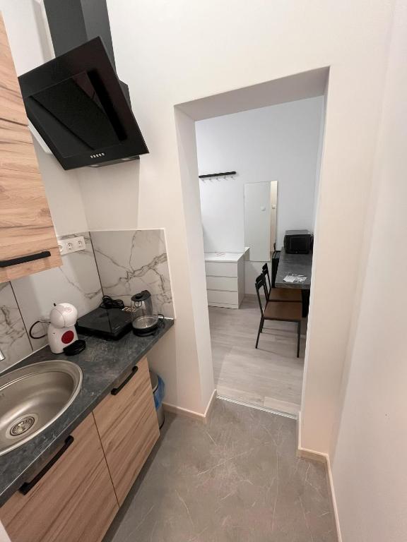 Kuchyň nebo kuchyňský kout v ubytování MaNo Studios Budapest I