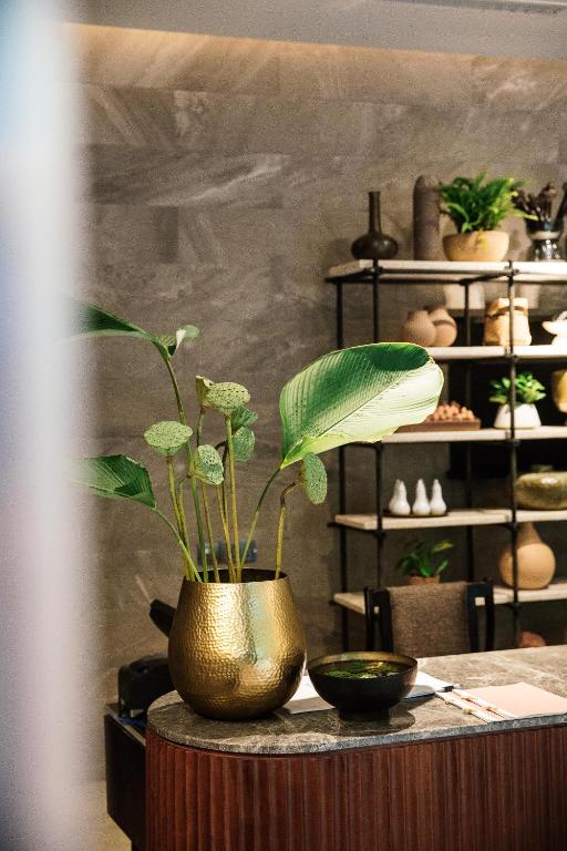 Fotografie z fotogalerie ubytování Treeline Urban Resort v Siem Reap
