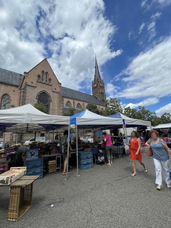 Riedheim - Colmar proche gare - Charme, Confort et Calme – photo 17