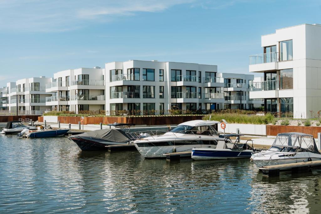 Výhled na řeku, která protéká v blízkosti apartmánu