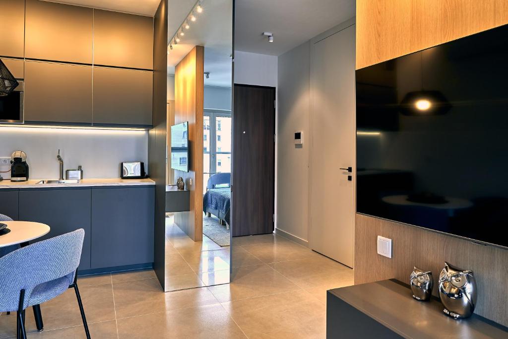 Kuchyňa alebo kuchynka v ubytovaní Mennica Central Apartments