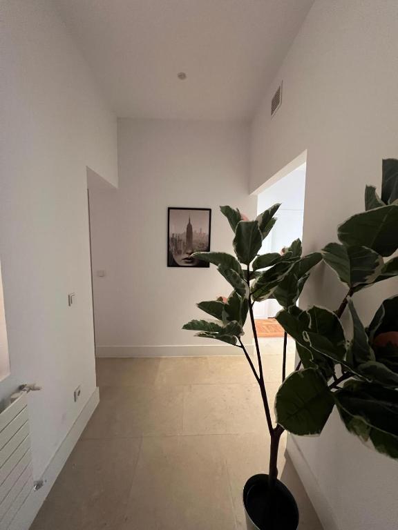 Μια τηλεόραση ή/και κέντρο ψυχαγωγίας στο Private rooms in Magdalena Street