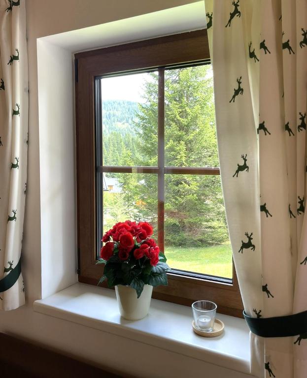 Fotografie z fotogalerie ubytování Almhütte-Flattnitz v destinaci Flattnitz