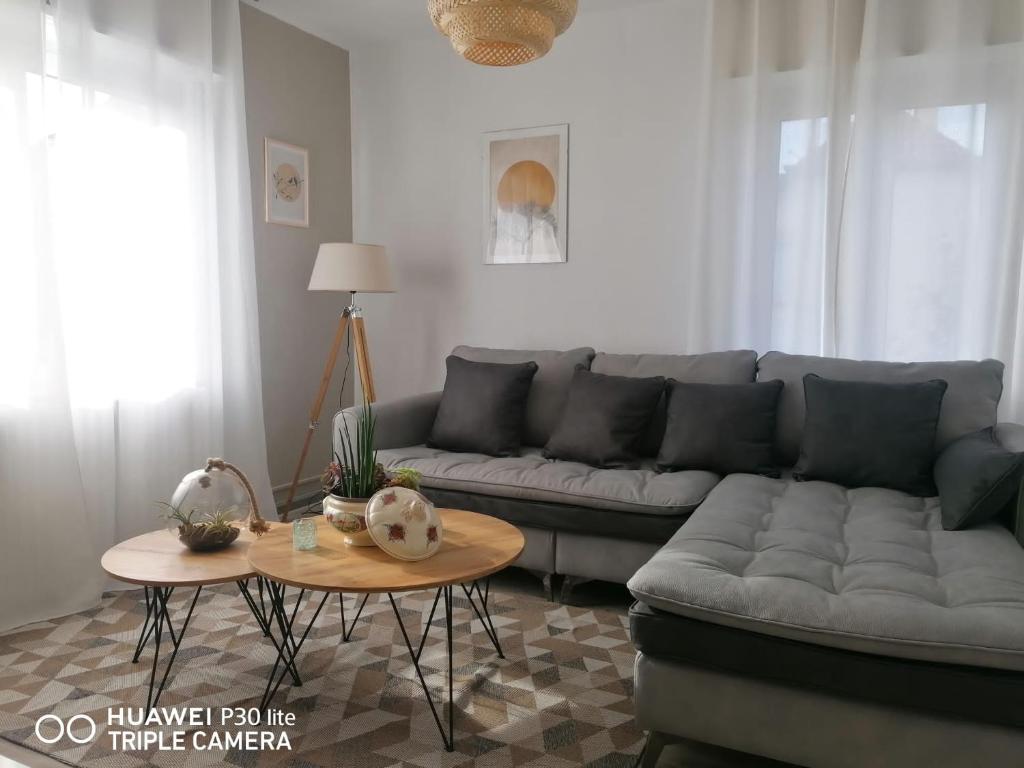 Maison Cosy Mulhouse – photo 16