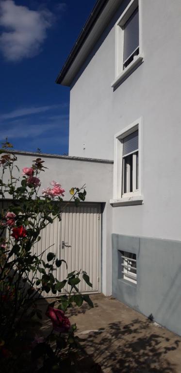Maison Cosy Mulhouse – photo 9