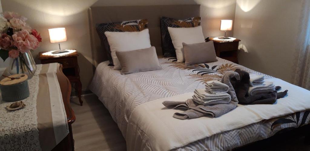Maison Cosy Mulhouse – photo 17