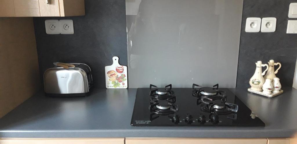 Maison Cosy Mulhouse – photo 12