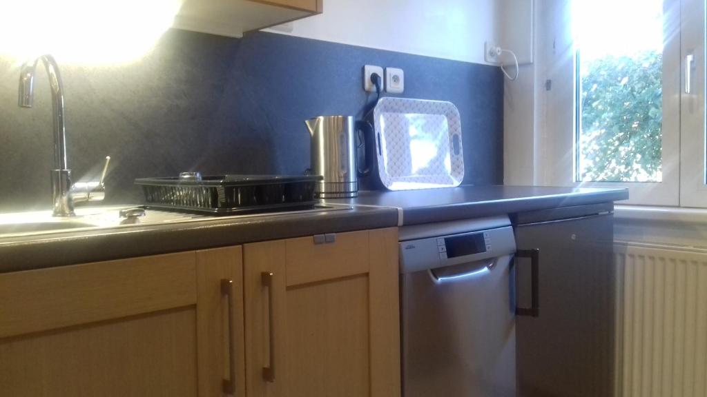 Maison Cosy Mulhouse – photo 11