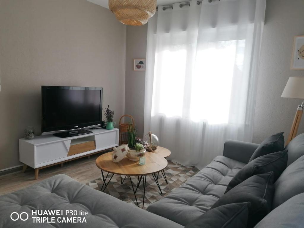 Maison Cosy Mulhouse – photo 5