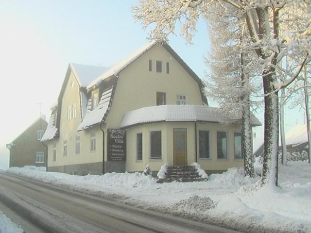 a house with snow on the ground next to a street at ReeDe Villa in Otepää
