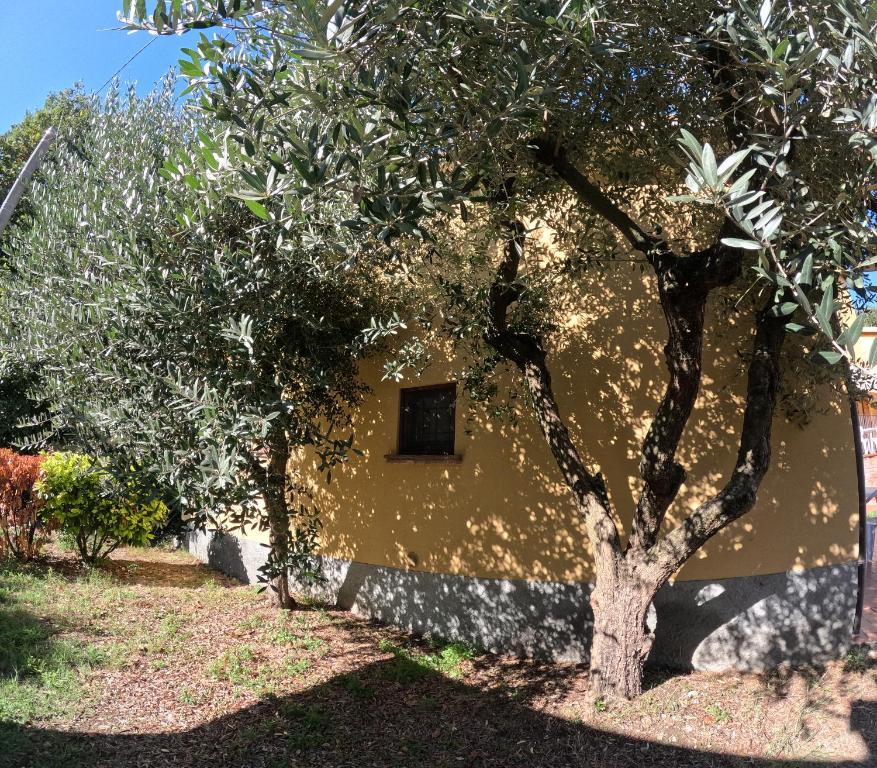 Zahrada ubytování Agriturismo Gardenali