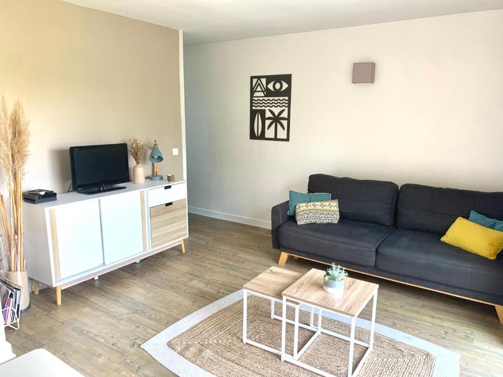 Una televisión o centro de entretenimiento en Cosy Appartement SANNA 3 étoiles piscine, 2 ch