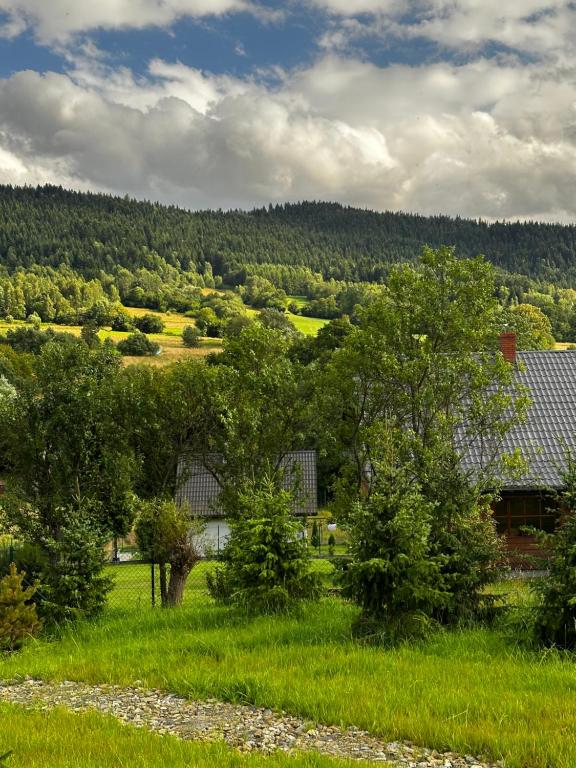 Příroda nedaleko apartmánu