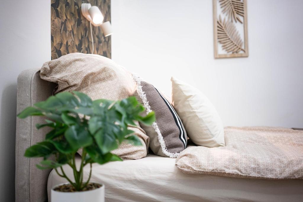 Romantic Studio in Downtown 1068 Budapest, Király utca 106 kép - 1