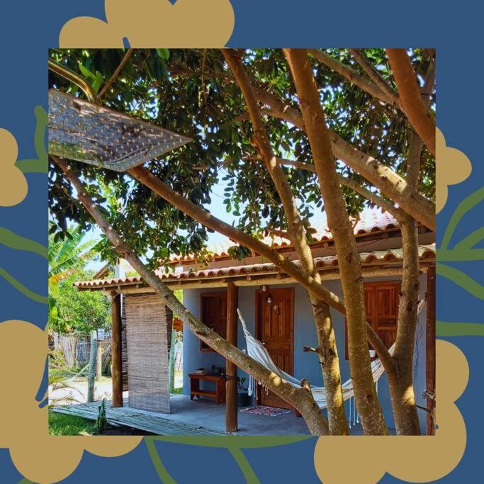 カライーバにあるCasa Marianaの木の前の小屋