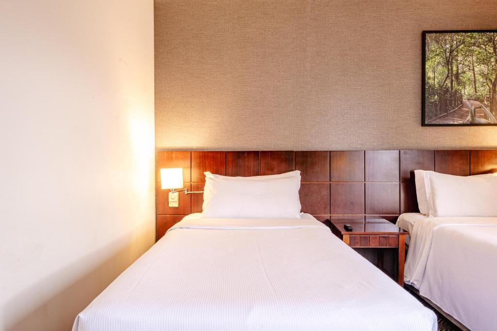 Blue Tree Premium Verbo Divino - Nações Unidas - Deluxe Twin Room