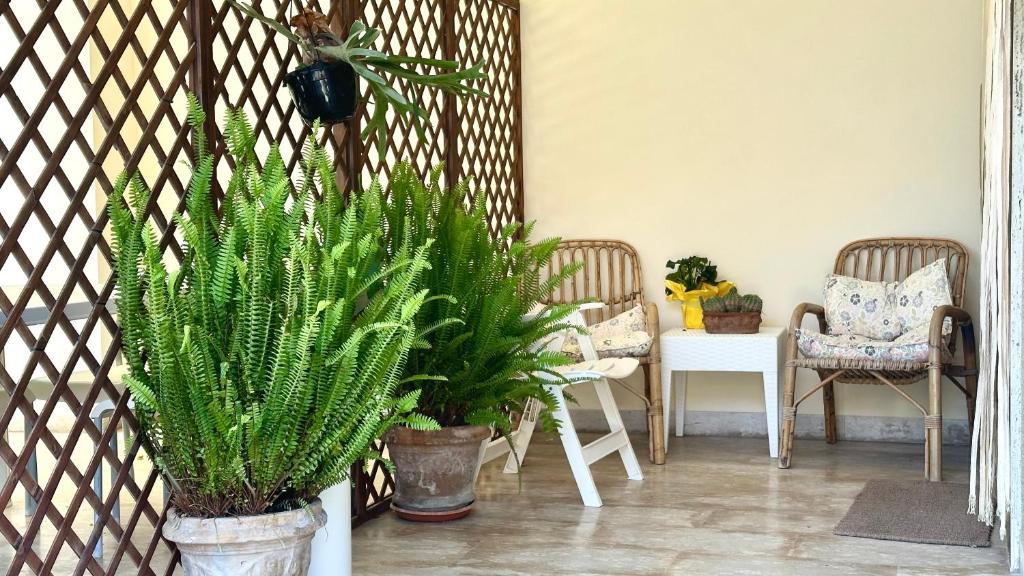 RM03 - Senigallia, trilocale fronte mare - Housity