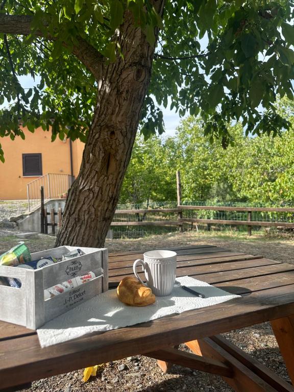 Zdjęcie z galerii obiektu BORGO DON ARMANDO - Appartamento A B C E w mieście Francavilla in Sinni