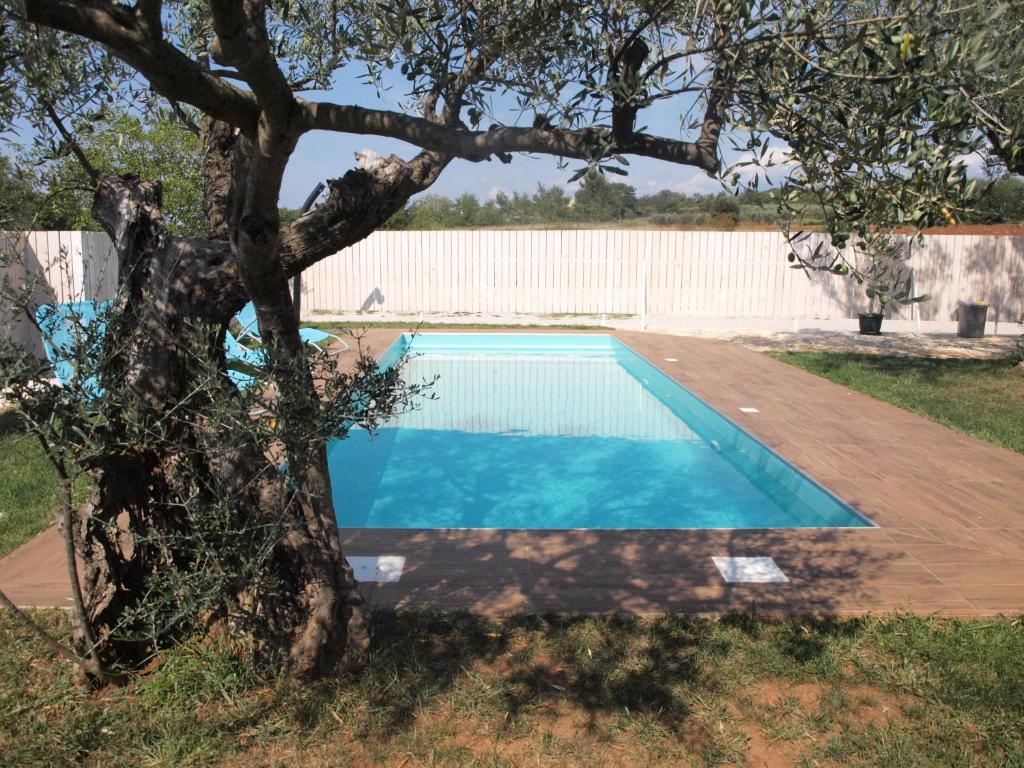 a swimming pool with a tree in the yard at Holiday Home lynn in Višnjan