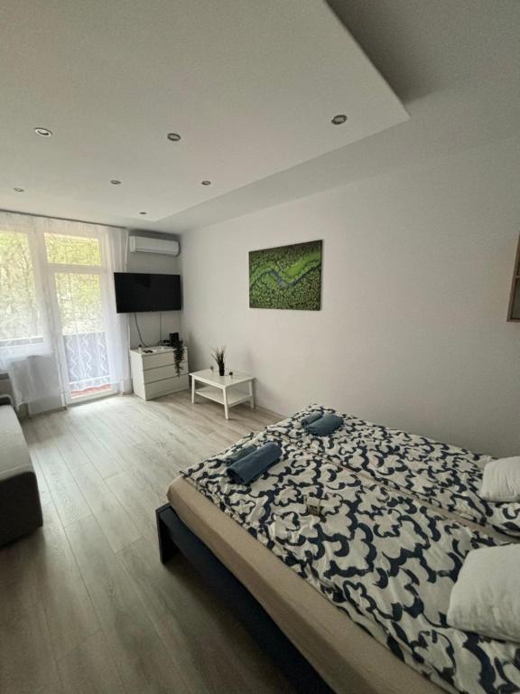Nemes Apartman 6722 Szeged, Nemes Takács utca 9 kép - 1