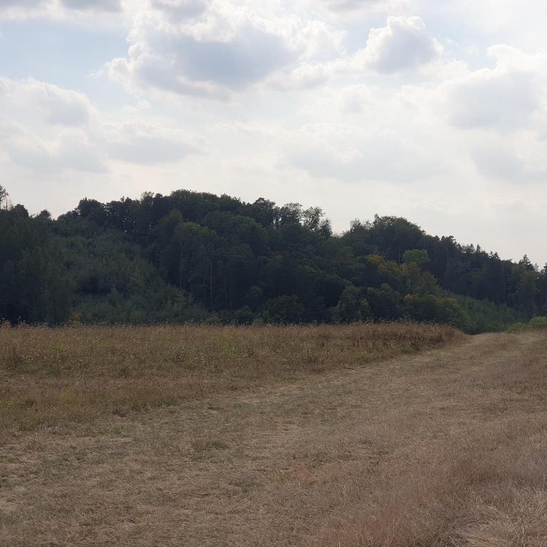 Příroda nedaleko apartmánu