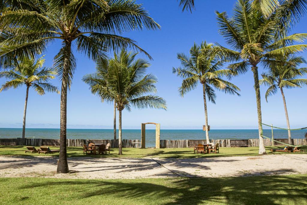 a group of palm trees on the beach at Vila das Pedras in Caraíva