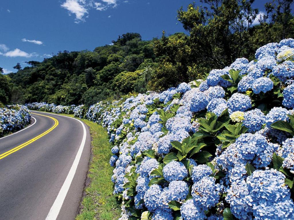  Apartamento Vista Vale do Quilombo