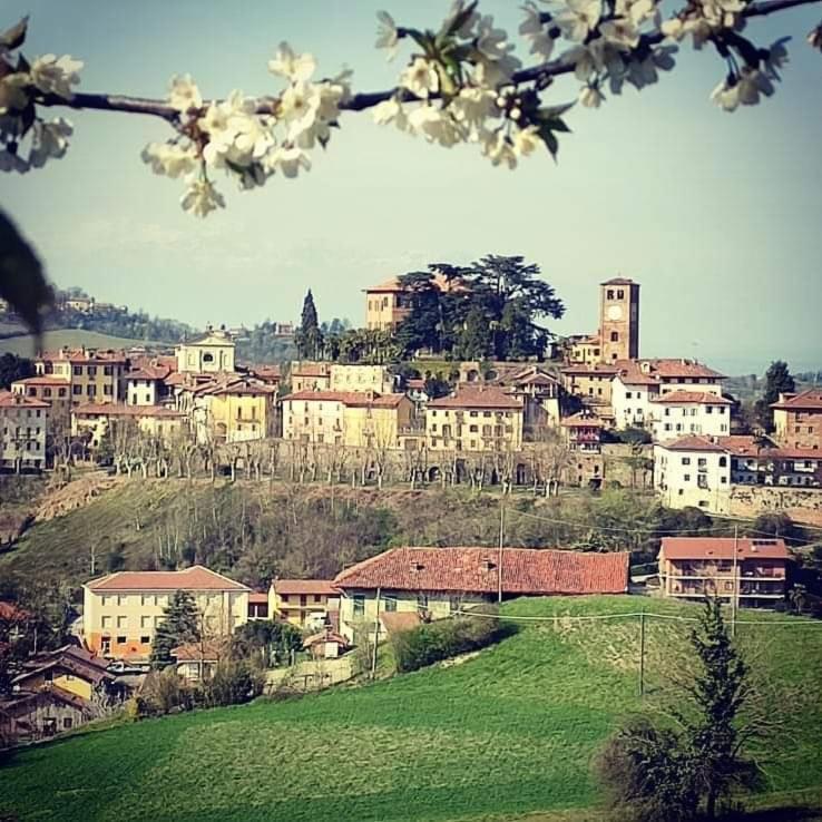 a city with buildings on a hill with flowering trees at Ca'diFra in Casalborgone