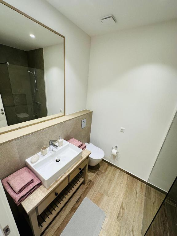 Vannituba majutusasutuses Apartments SLAVA